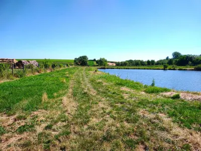 Teren 18.247 mp cu balta de pescuit – Misca, Comuna Chislaz, Bihor - foto 5