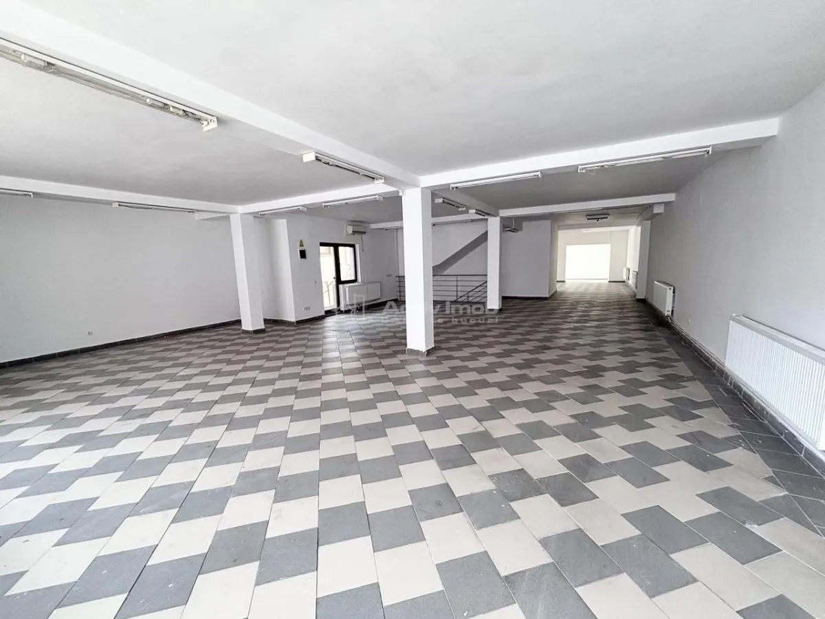 Spatiu comercial ultracentral - 250-750 mp - Vitrina la Strada Primariei - Vizibilitate excelenta - foto 14