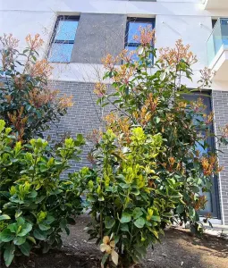 3 camere open space - centrala termica - parcare - Foisorului - Timpuri Noi - foto 24