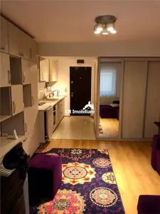 Garsoniera, Iacului demisol - foto 2