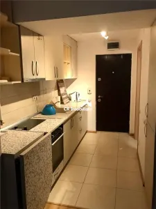 Garsoniera, Iacului demisol - foto 4