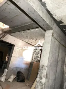 Vanzare cladire zona Gradina Icoanei - foto 8