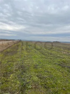 RECO Teren intravilan cu PUZ in Osorhei - foto 3