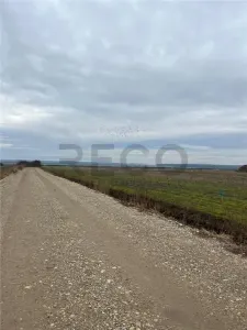 RECO Teren intravilan cu PUZ in Osorhei - foto 4