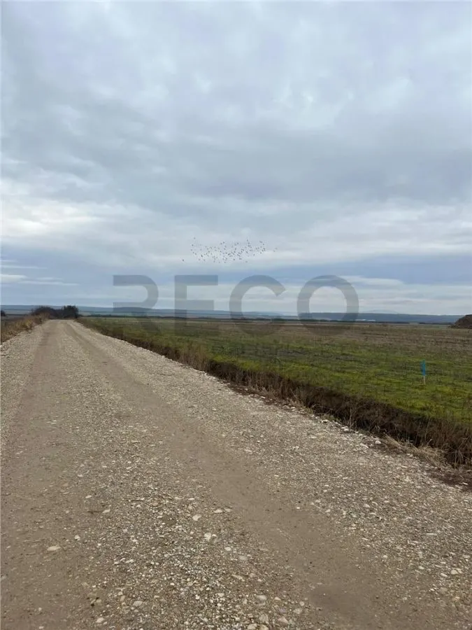 RECO Teren intravilan cu PUZ in Osorhei - foto 4