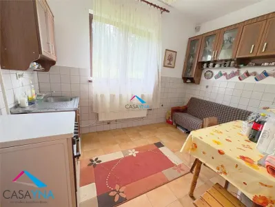 Proprietate deosebita in Luncani | Casa P+M | Teren 2553 mp - foto 9