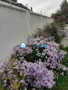 CASA CU ETAJ ZONA CETATII - foto 2
