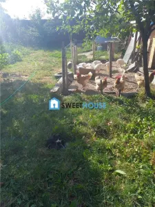 CASA CU ETAJ ZONA CETATII - foto 5