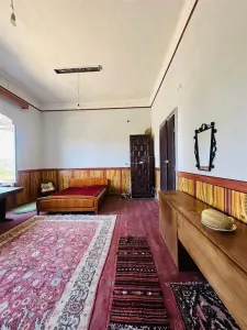 DE VANZARE CONAC  CU TEREN 8330  MP ZONA MELINESTI LA 20 KM CRAIOVA  DOLJ - foto 10