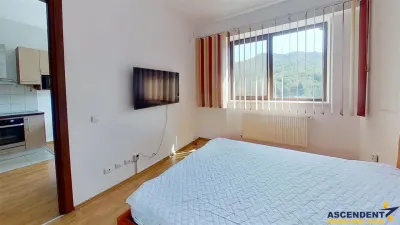 In incantare panoramica si eleganta cromatica, cartier Noua, Brasov - foto 6