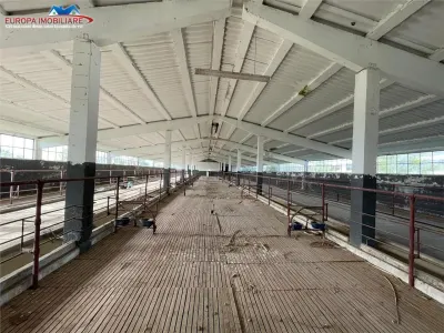 Ferma de vanzare in localitatea Bestepe - foto 17