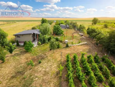 Teren de vanzare in localitatea Cataloi Tulcea - foto 20