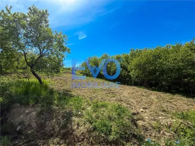 Teren intravilan, 1500 mp, zona Aroneanu Iasi - Aroneanu