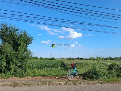 Teren intravilan Boldesti Scaieni - foto 2