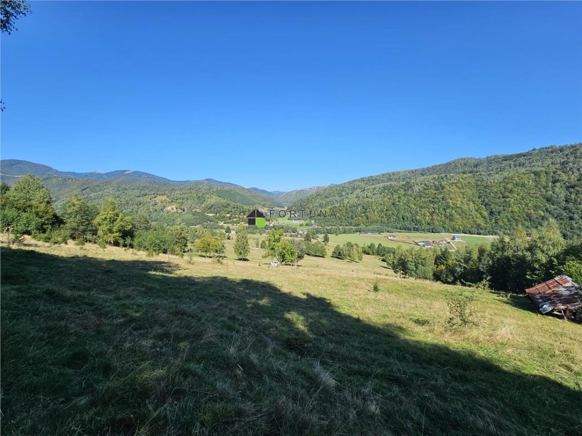 Teren intravilan, 21.000 mp, Zona Intre Barse, spre Plaiul Foii, Zarnesti - Zarnesti