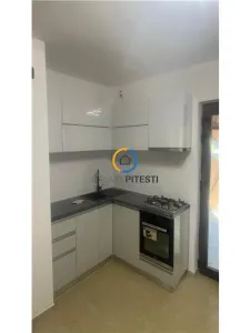 De inchiriat vila P+1+M, Prundu-Romaria, prima inchiriere - Pitesti
