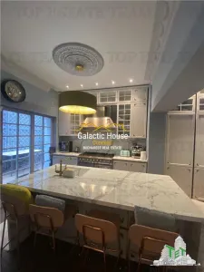 CASA SPECTACULOASA DOROBANTI CAPITALE PRETABILA FIRMA SAU REZIDENTA - foto 22