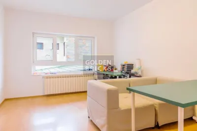 Piata Victoriei| Banu Manta | 15 camere | Metrou - foto 10