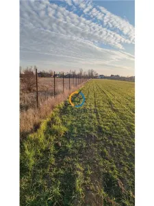 De vanzare teren, 6600mp Suseni - Suseni