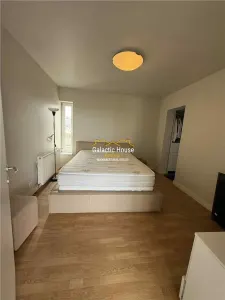 PENTHOUSE 2 CAMERE SOSEAUA NORDULUI /PARC HERASTRAU TERASA SPECTACULOASA - foto 10