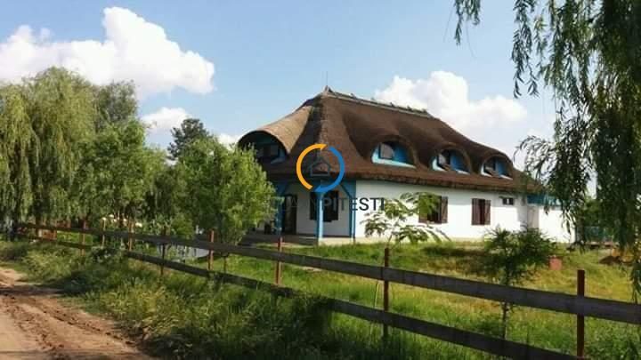 Casa traditionala / Pensiune  P+1, 9 camere, judet Tulcea, localitatea Partizani - Partizani