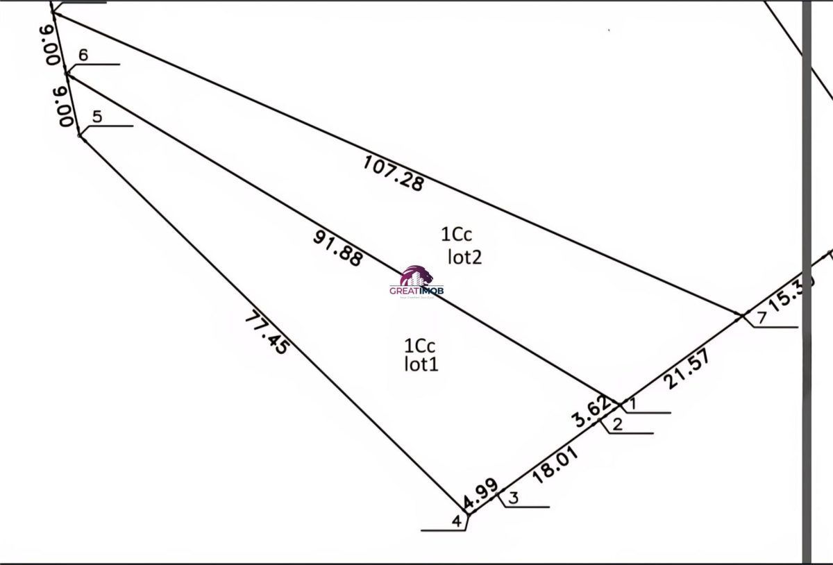 Teren Snagov Lac 1318 mp - Snagov
