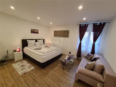 Studio de LUX zona Ultracentrala - Sibiu