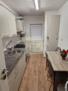 Apartament 3 camere cu pivnita zona Terezian - foto 5