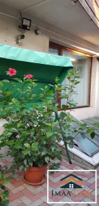 Apartament Studio,60 mp, vila Copou - foto 4