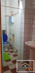 Apartament Studio,60 mp, vila Copou - foto 6