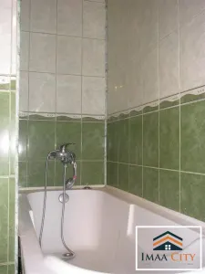 Casa 3 camere, Popas Pacurari - foto 15