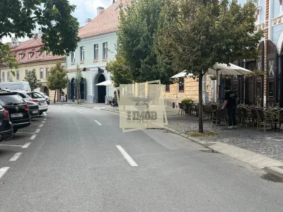 Apartament spatios cu 2 camere  in Centrul Sibiului - Sibiu