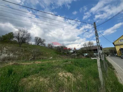 Teren intravilan 31 ari, Valea Budacului - foto 3