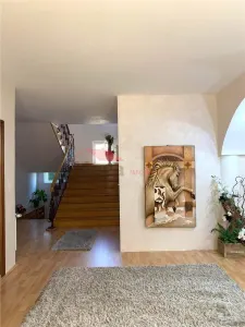 Vila+Spatiu Comercial - foto 11