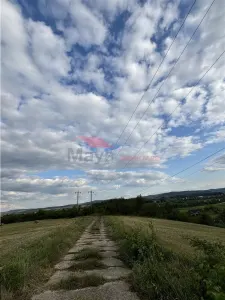 Teren pt cabana 35,5 ari, Beclenut - foto 7