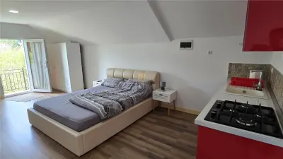 CASĂ DE VACANȚĂ ȘI PROPRIETATE TURISTICĂ ÎN DORNA ARINI  LÂNGĂ VATRA DORNEI COMISION 0 - foto 13