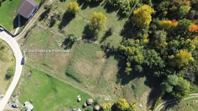 Teren Intravilan de Vânzare în Stațiunea Turistică Cacica, Bucovina | 3.500 mp | Ideal pentru Cabane, Pensiune, Casă de Vacanță sau Centru Wellness | - foto 10