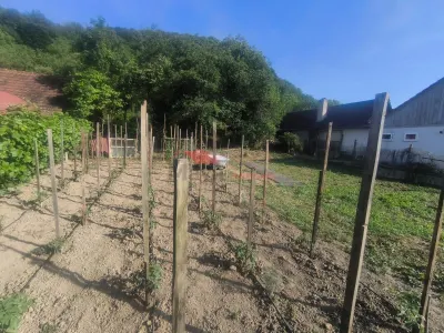 Teren Intravilan, Chirales , 15 Ari - Chirales