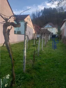 Casa 2 camere, Calnic - foto 3
