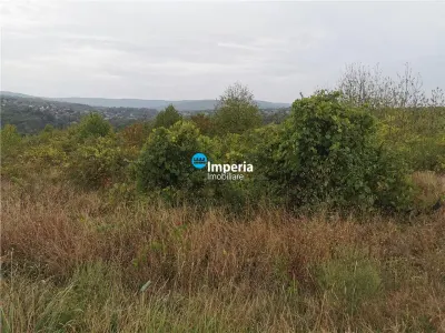 Teren intravilan de vanzare Visan 6380 mp - foto 10