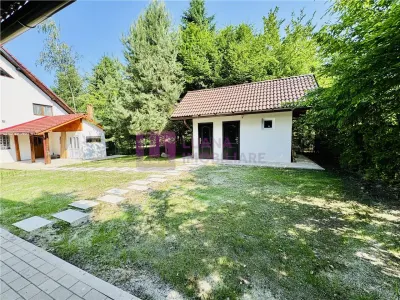 Casa de vacanta 7 camere | Valea Avrigului | teren 1000 mp | video - foto 2