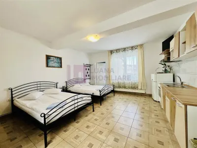 Afacere la cheie | Vila de 3 stele | Paltinis | amenajata complet - foto 9