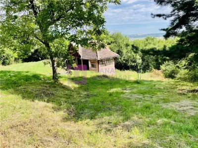 Teren 3581 mp | Marginimea Sibiului | priveliste superba - Vale