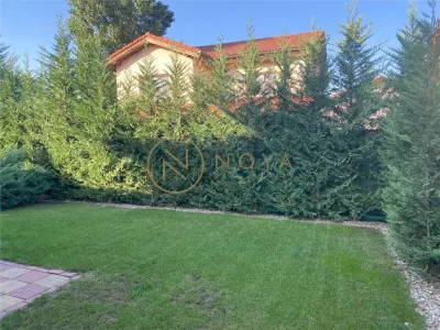 Vila individuala de inchiriat Pipera rond OMV - Bucuresti