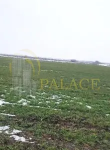Teren agricol 100 ha| Comasat 100%| Categoria A1 - Perisoru
