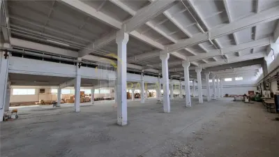 Hala industriala de vanzare in Harlau, 11.500 mp utili, teren 44.268 mp - Harlau