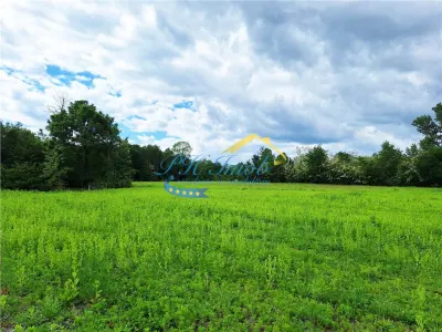 Teren extravilan de vanzare Poiana Campina - Poiana Campina