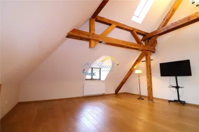 Vila de inchiriat Campina Prahova - foto 18