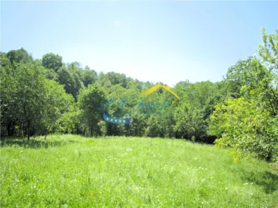 Teren intravilan de vanzare, Adunati Prahova - foto 4