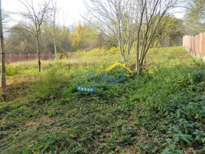 Teren intravilan de vanzare, Campina - foto 3